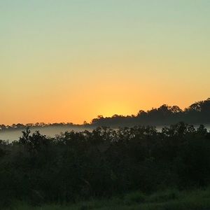 Meet your Posher, Lacey